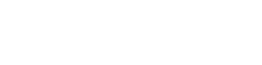 UNION PACIFIC