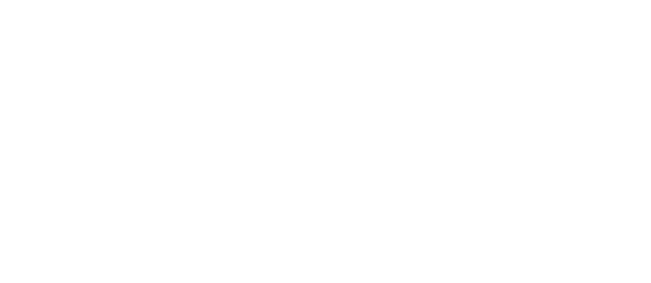 home-logo-swissport
